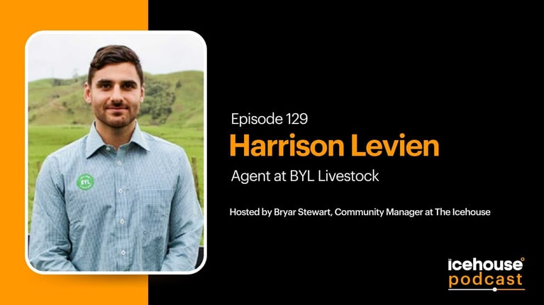 Episode 129: Harrison Levien, Agent at BYL Livestock