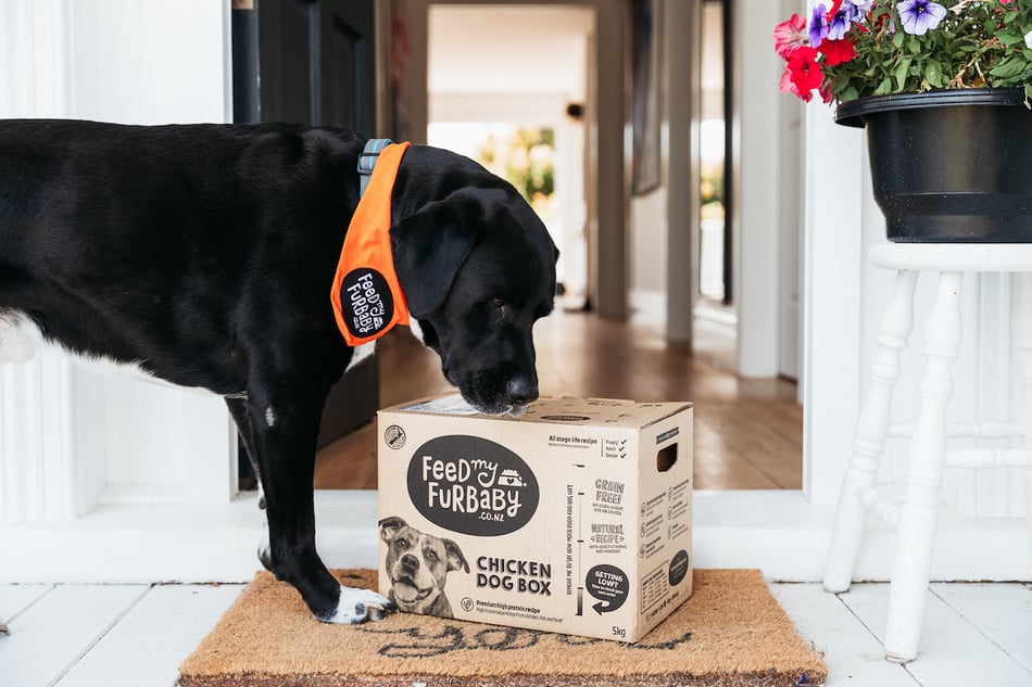 Plastic free Pet Food packaging?