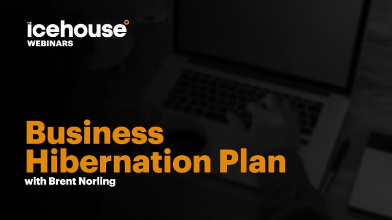 The Business Hibernation Plan