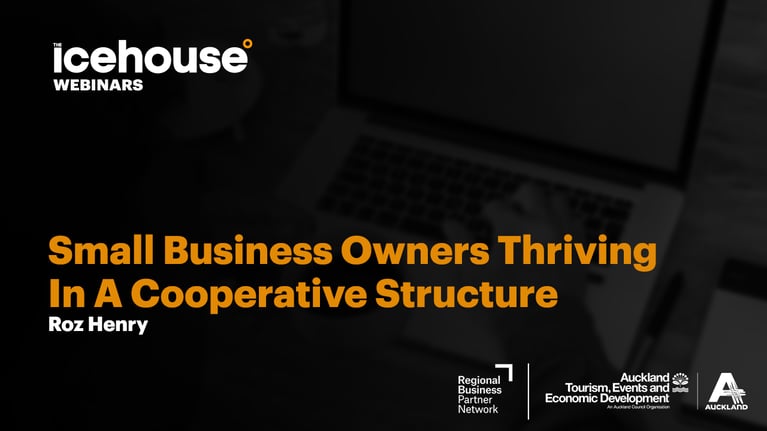 Small Business Thriving In A Co-Operative Structure with Roz Henry
