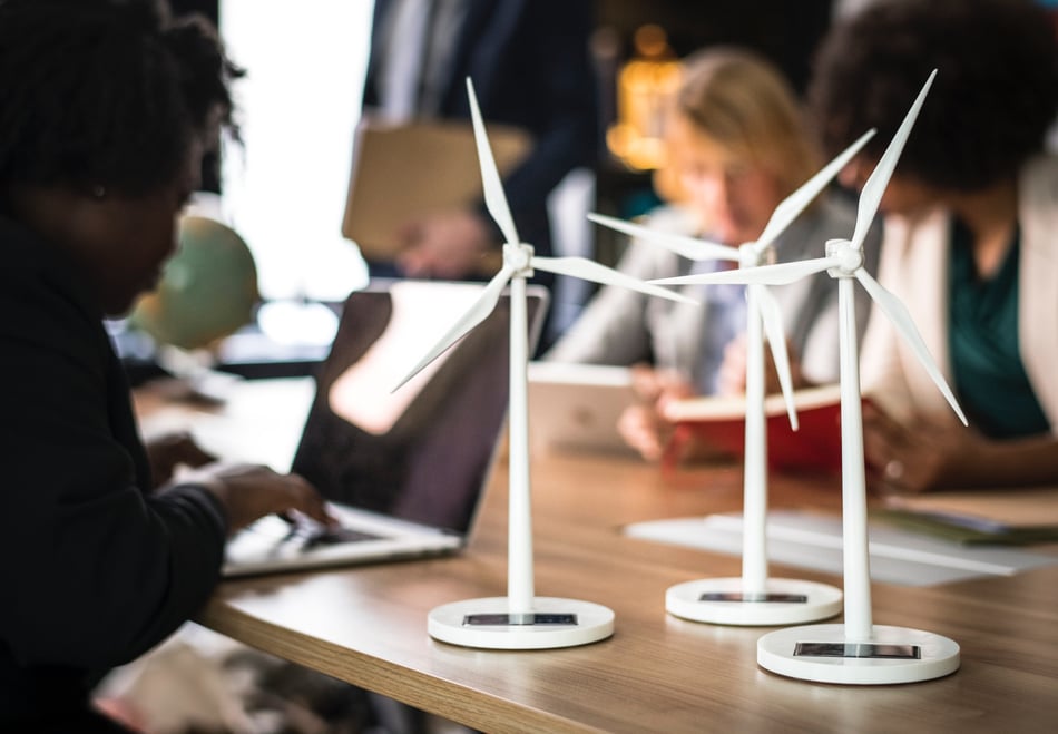 Pouring Solution Part Three: Building Self-Sustainability in the New Zealand Start-Up & SME Ecosystem
